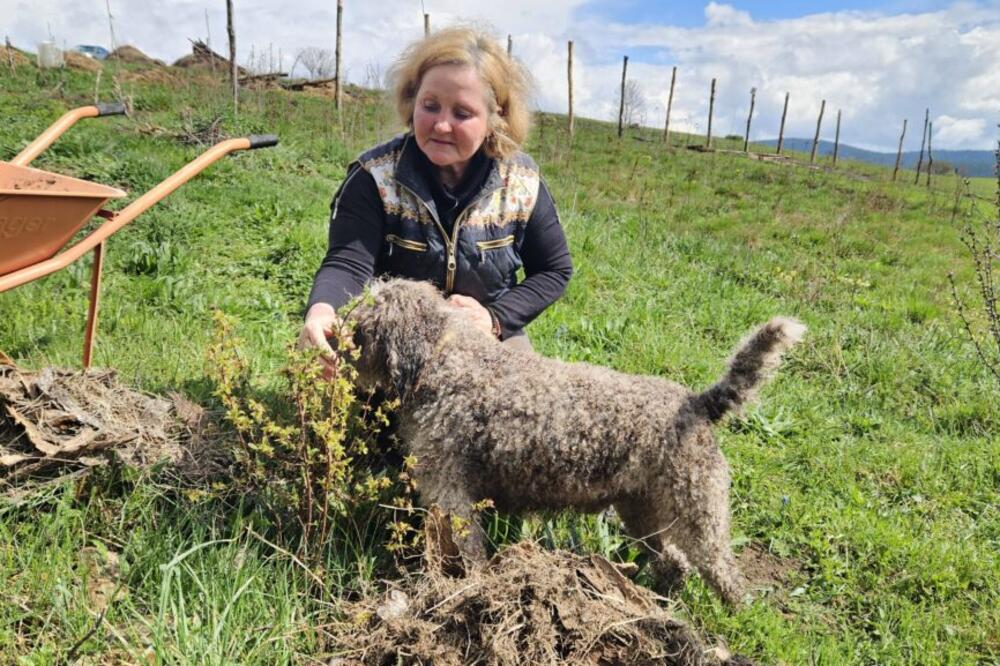 Ruskinja Irina menjala grad za srpsko selo: Sada gaji koze na Kamenoj Gori - najbliža prodavnica udaljena čak...