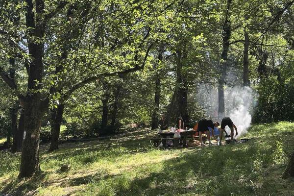 Apartman 30 evra, a cela kuća za 60! Planina nadomak Beograda krije mali raj, cene hrane i pića su prava bagatela