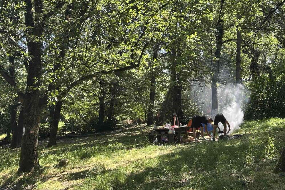 Apartman 30 evra, a cela kuća za 60! Planina nadomak Beograda krije mali raj, cene hrane i pića su prava bagatela