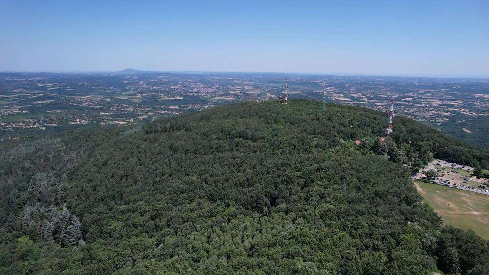 Prodaje se uknjižena kuća i gotov biznis u paketu - evo i gde: Posađeno 2.000 biljaka, cena i više nego top