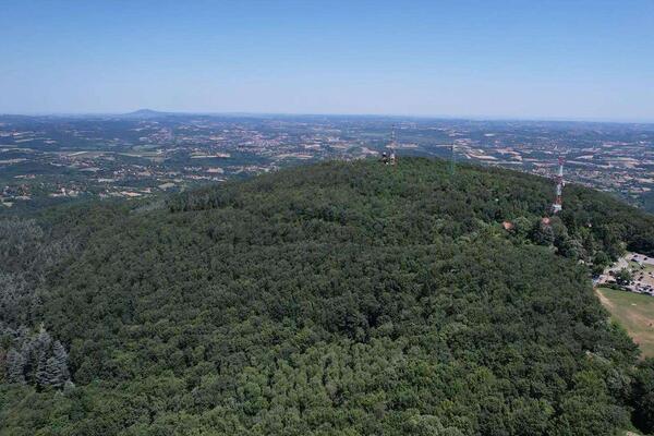Prodaje se uknjižena kuća i gotov biznis u paketu - evo i gde: Posađeno 2.000 biljaka, cena i više nego top