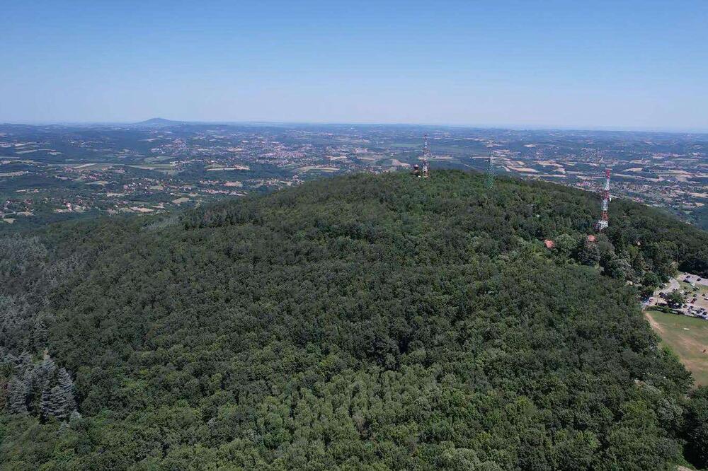 Prodaje se uknjižena kuća i gotov biznis u paketu - evo i gde: Posađeno 2.000 biljaka, cena i više nego top