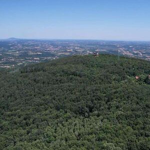 Prodaje se uknjižena kuća i gotov biznis u paketu - evo i gde: Posađeno 2.000 biljaka, cena i više nego top