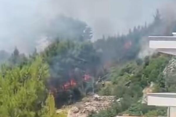 Makarska u plamenu: Opet gori u Dalmaciji, vatrogaci su na terenu, pretili komšijama katastrofa? (VIDEO)