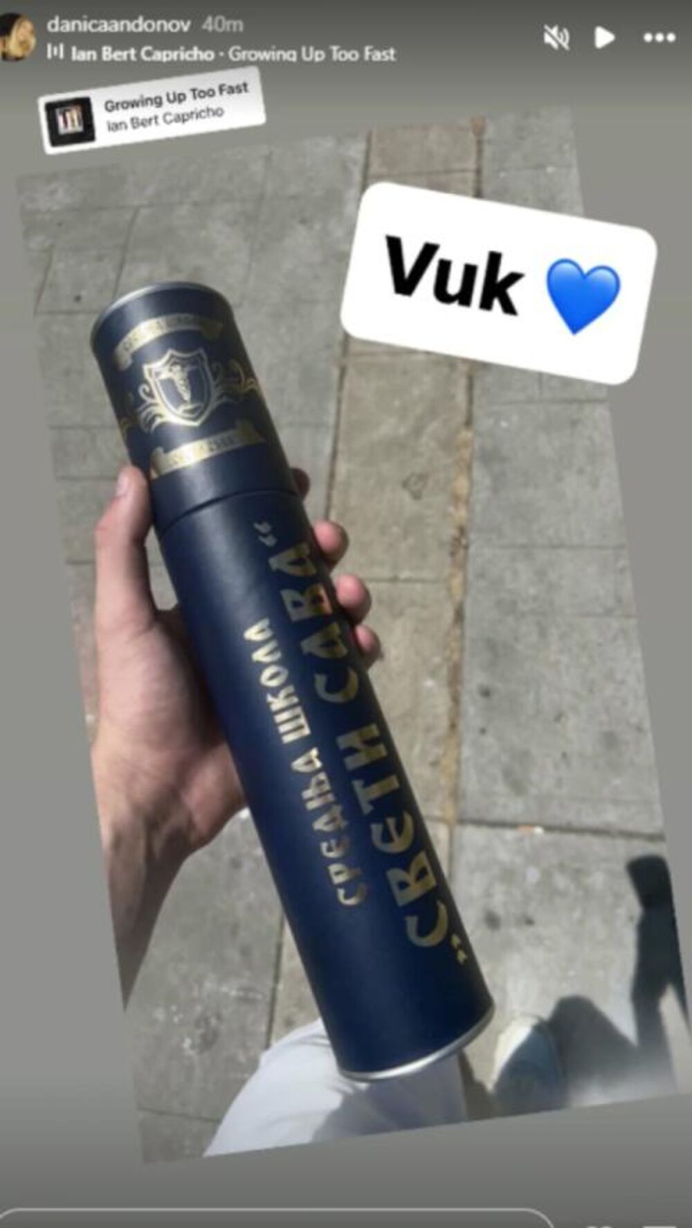 Vuk diplomirao