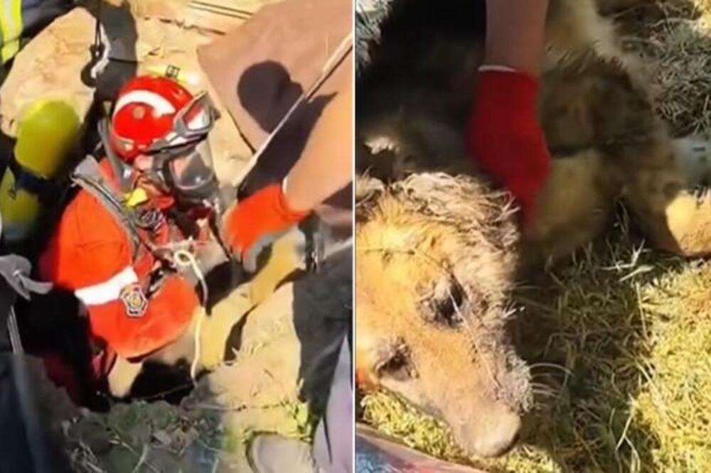 Hrabri vatrogasci spasili psa iz bunara dubokog 15 metara! Neverovatna akcija spasavanja zabeležena u Senti (VIDEO)