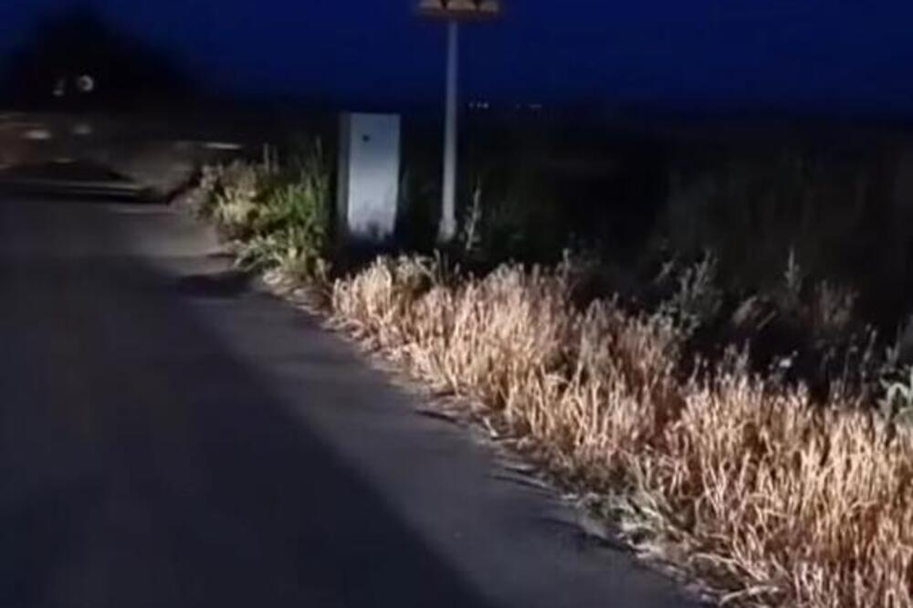 Pojavila se ispred mene, mračna, kao duh! Živica ovaj dan slavi kao drugi rođendan - te noći je pretrnuo od straha