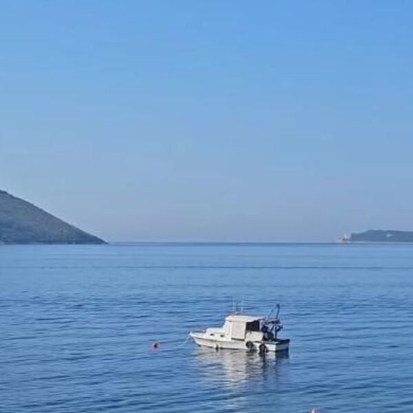 Kit kod obale Herceg Novog! Ovako nešto se retko viđa, nestvaran snimak morskog diva - prelepo! (VIDEO)