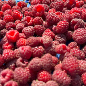 Ovo je uticalo na rekordno nizak nivo maline: Malinari ne pamte lošiju godinu