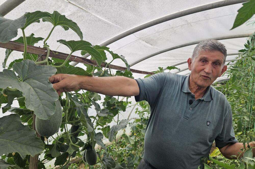 Sve što proizvede završava na trpezama Crne Gore: Hajrudin ni u osmoj deceniji ne odustaje od njive - veliko bravo