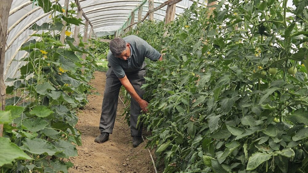 Hajrudin pokazuje da su godine samo broj na papiru 
