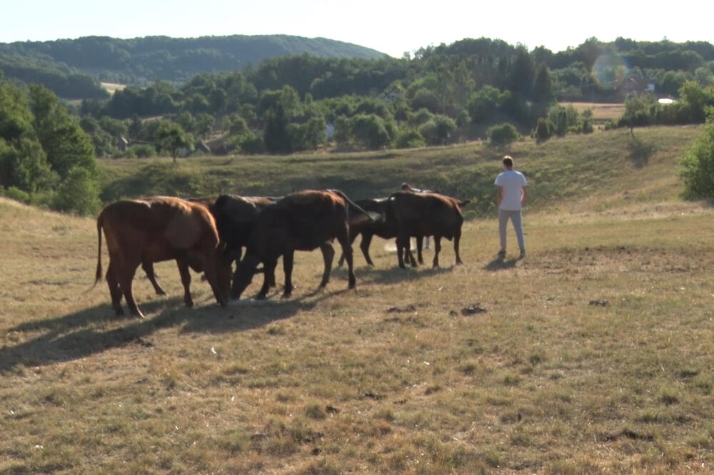 Aleksandra i Milija imaju čak 11 dece: Iz Rusije se vratili u selo kod Užica - njihov dom vrvi od života (FOTO)