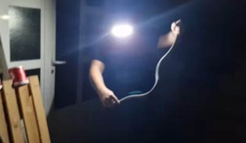 Vladica Stanković, hvatač zmija