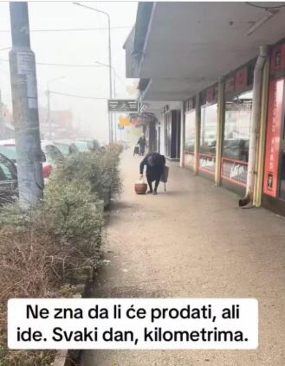 Baka Dica