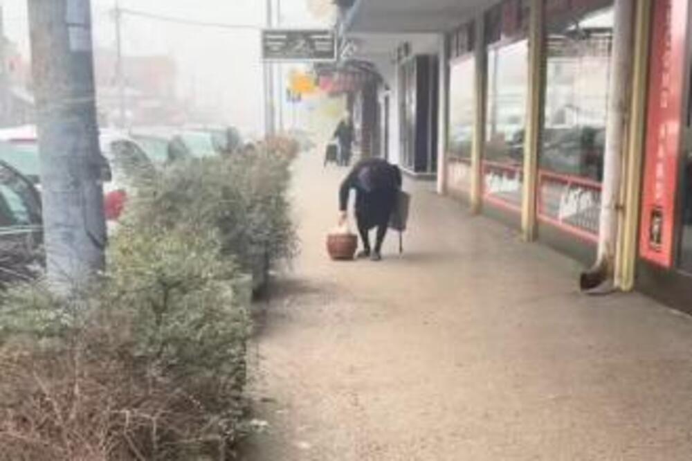 Evo ko je baka koja je rasplakala Srbiju! Savijena do zemlje pešači kako bi mogla da prehrani bolesnog sina (VIDEO)