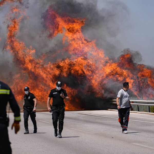 Izbio ogroman požar kod Herceg Novog! Vatra sve bliža kućama i apartmanima, stiglo hitno upozorenje (VIDEO)