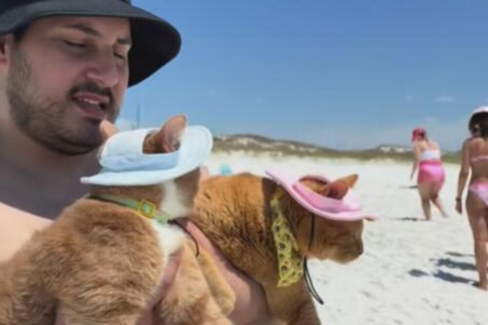 Ljudi, ovo morate da vidite! Odveo mačke na plažu, a njihova reakcija... Preko 4 miliona ljudi gleda i ne trepće!