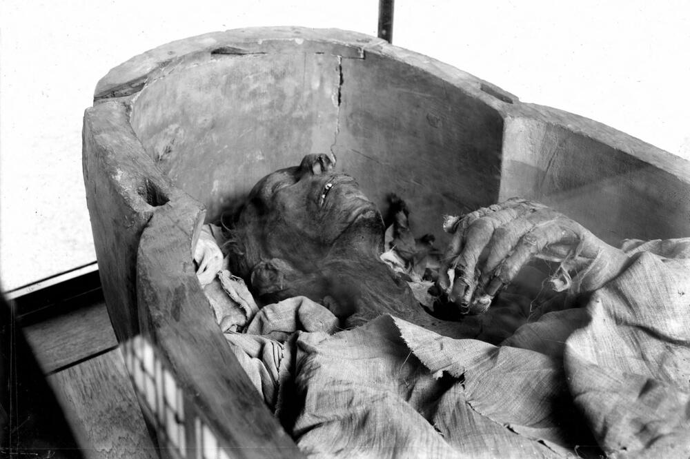 NAUČNICI U STANJU ŠOKA ZBOG 20% POREKLA OVOG ČOVEKA: Izvučen DNK iz Starog Egipta star 4.800 godina, NEVEROVATNO JE