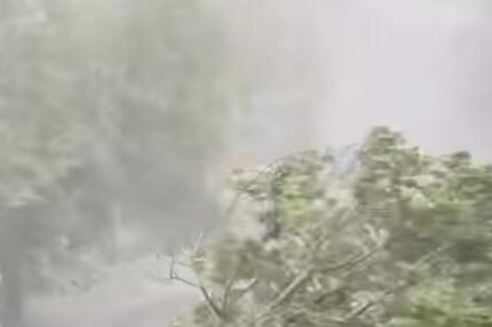 Pao krov Osnovne škole "Sremski front" u Šidu! Nevreme izazvalo haos, od vetra se nije video prst pred okom! (FOTO)