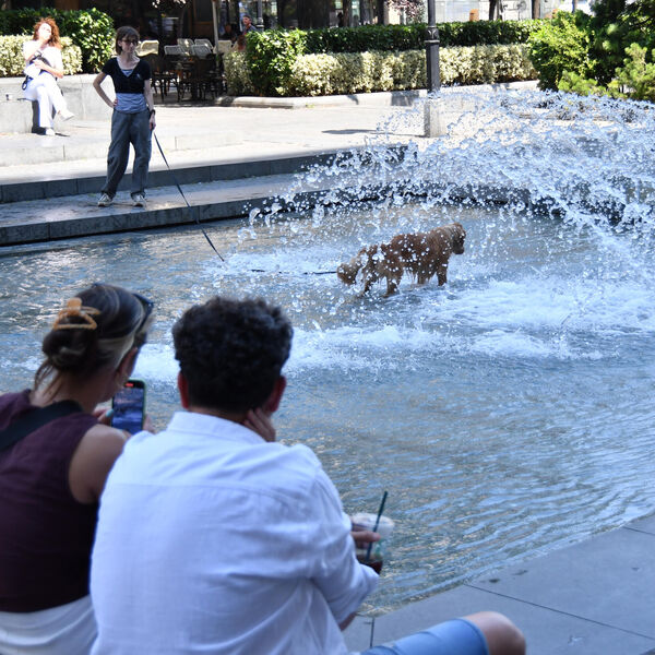 Pržilo kao da smo na roštilju, a onda se nebo otvorilo! Sve se desilo pre oluje u Beogradu - ušao u fontanu pa...
