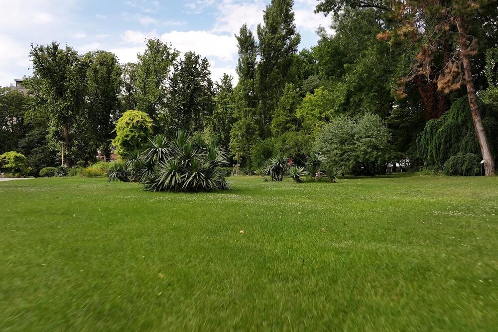 KRALJEV DAR PRIRODI I GRADU: Botanička bašta „Jevremovac” čuva više od 1.300 biljnih vrsta