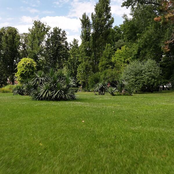 KRALJEV DAR PRIRODI I GRADU: Botanička bašta „Jevremovac” čuva više od 1.300 biljnih vrsta