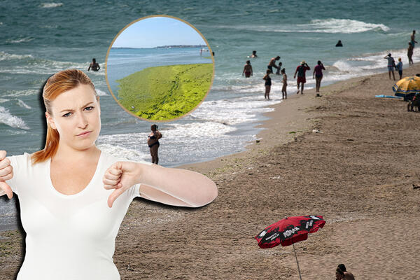 "Paralija posle ovoga deluje kao Sejšeli": Srbi otišli u popularno letovalište, pa se vratili kao pokisli, "HOROR"!