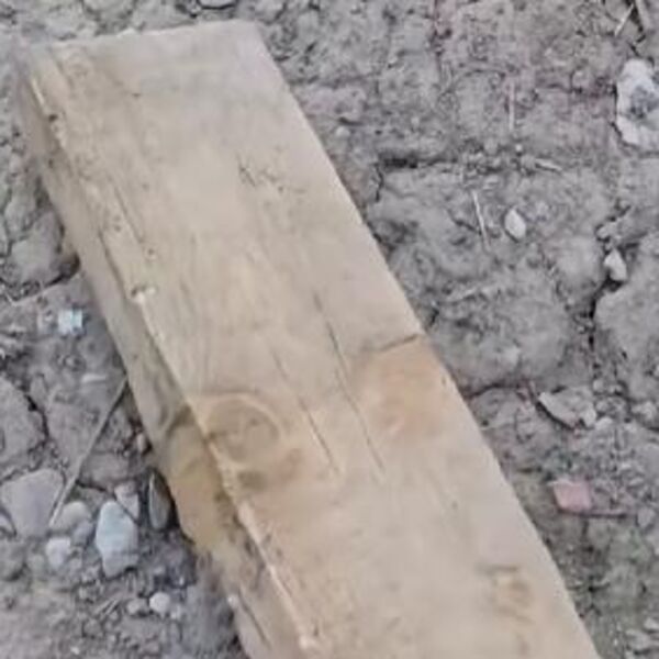 ŠTA JE BRE OVO? Crnogorci kopali temelj za kuću, kad su podigli dasku u sekundi su ZANEMELI OD ŠOKA! (VIDEO)