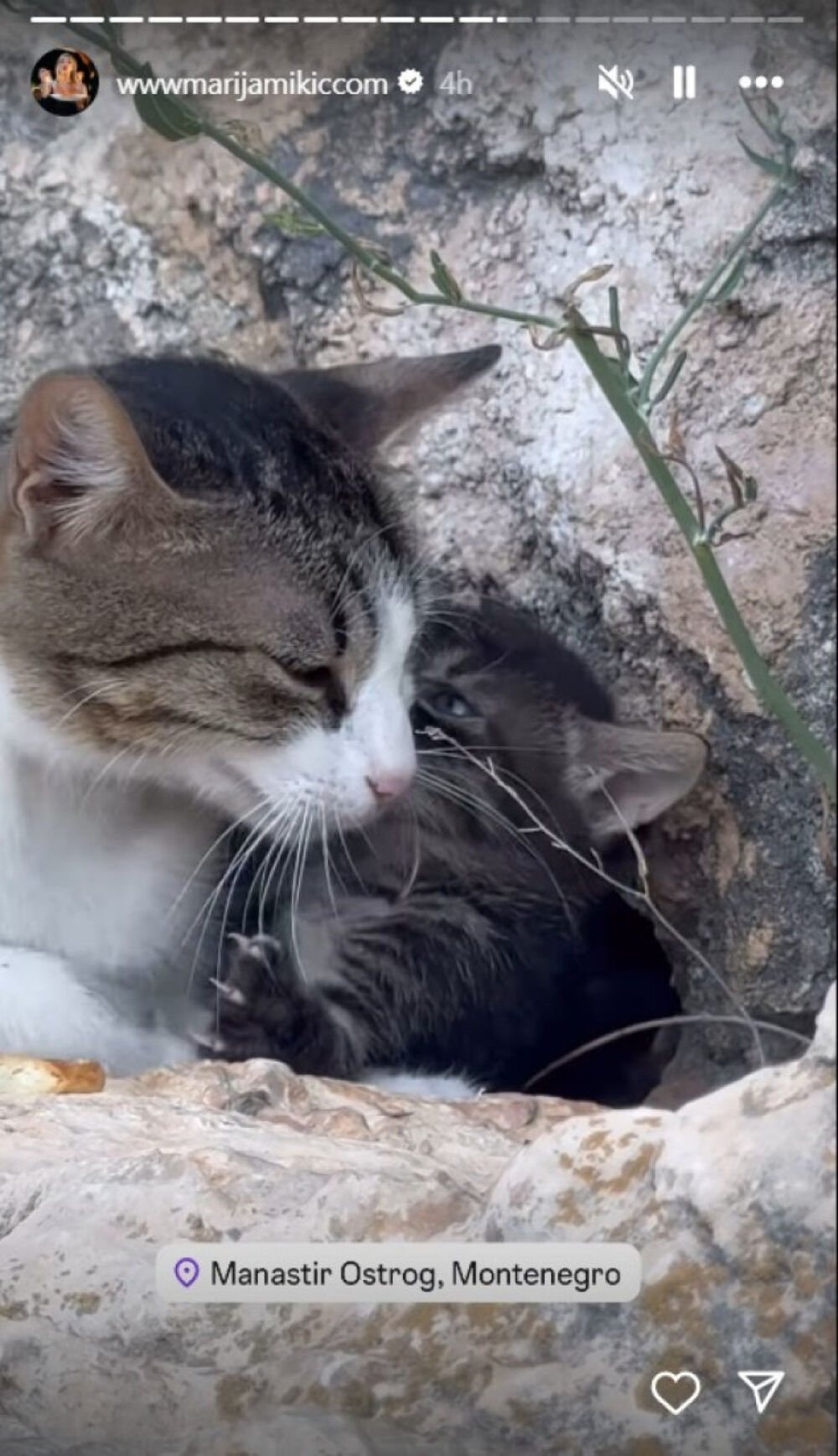 Pevačica je obavestila pratioce da se trenutno nalazi u Crnoj Gori
