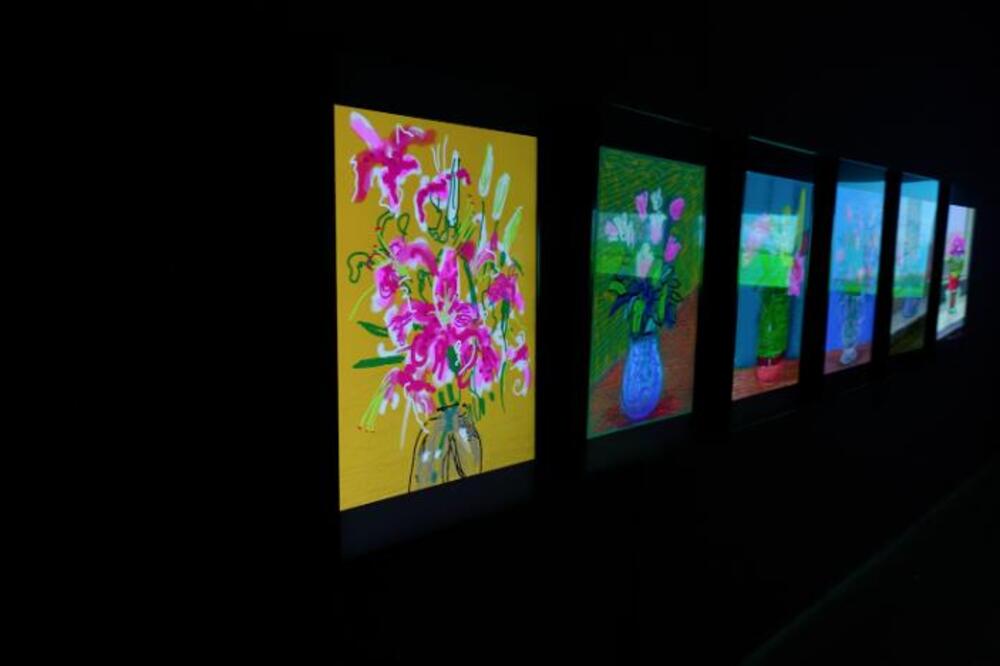 Višedecenijsko stvaralaštvo britanskog umetnika u MSU: Izložba Dejvid Hokni - "Od papira do ekrana"