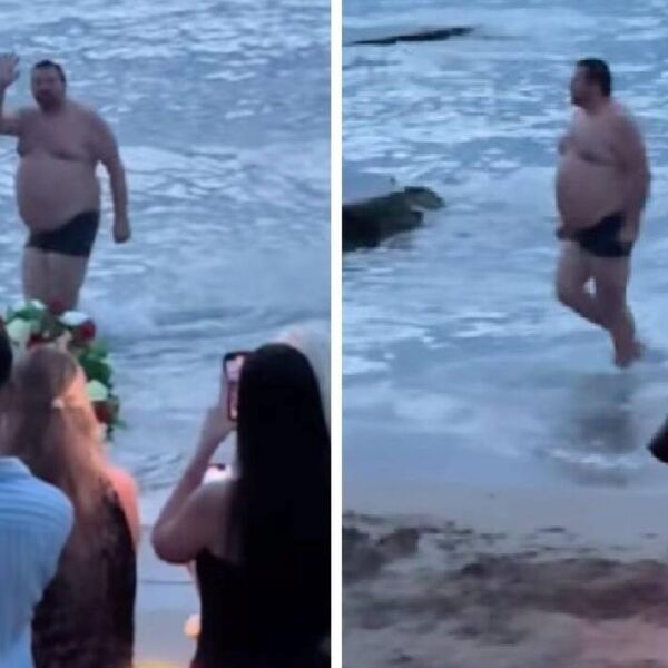 "Kralju, smetaju li oni tebi?" Region u transu zbog snimka iz Hrvatske, zabeležen urnebesan trenutak! (VIDEO)