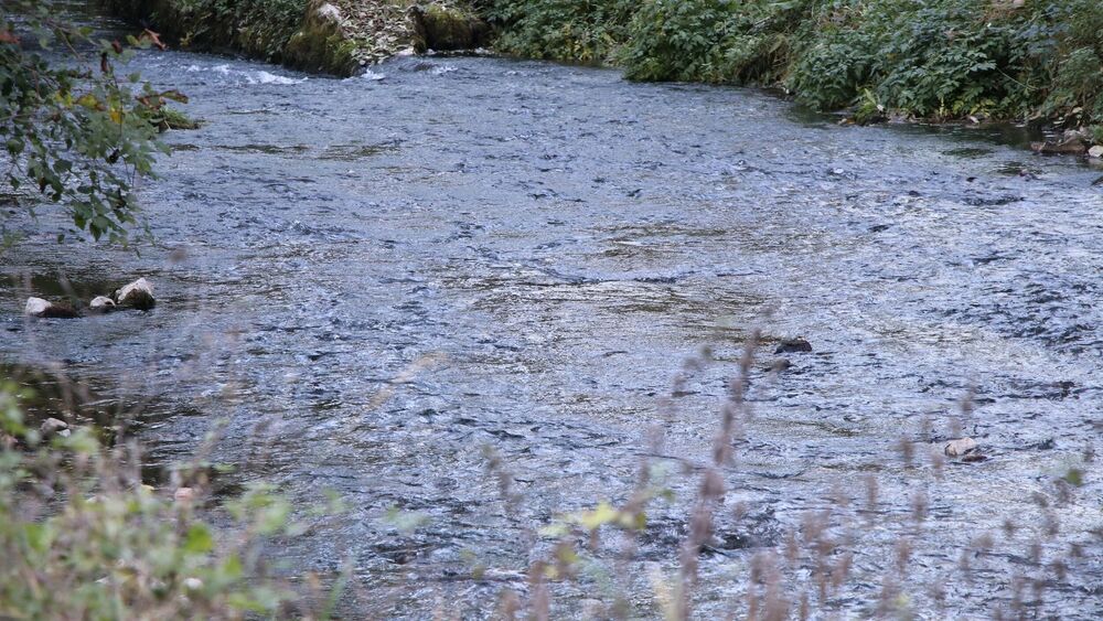 Smrt bratov v Tari: Eden je doživel srčni zastoj, drugi ga je poskušal rešiti