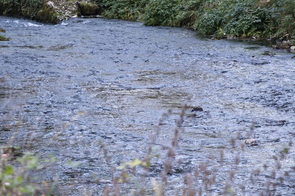Jedan doživeo srčani udar, a drugi pokušao da ga spase: Teški detalji smrti rođene braće u Tari