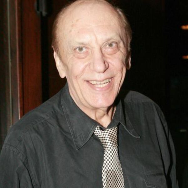 Nakon smrti Tozovca nastao razdor u porodici oko imovine: Njegova kuća je uništena, sinovi i udovica su želeli...