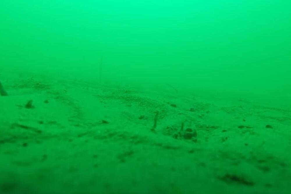 Evo šta se vidi kada se baci kamera na dno okeana: Amerikanka zastrašila ceo svet snimkom! (VIDEO)