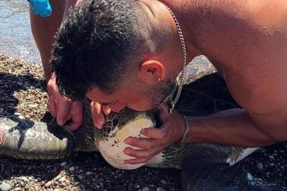 ŠOKANTNA SLIKA SA RODOSA: Ronilac vraća mrtvu kornjaču u život reanimacijom "usta na nos"! (FOTO)