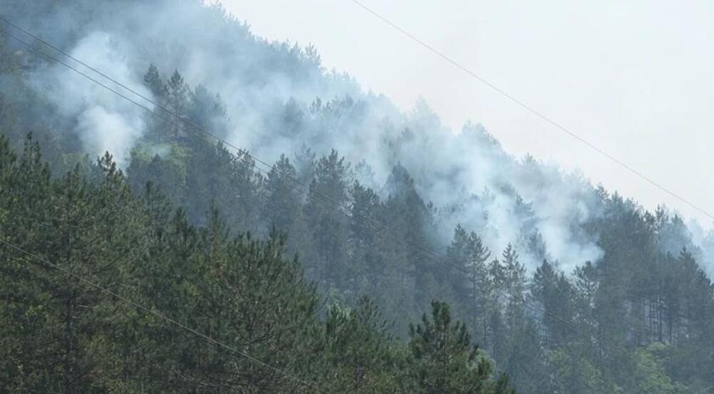 Požar na deponiji v Priboju se je razširil na štiri hektarje gozda
