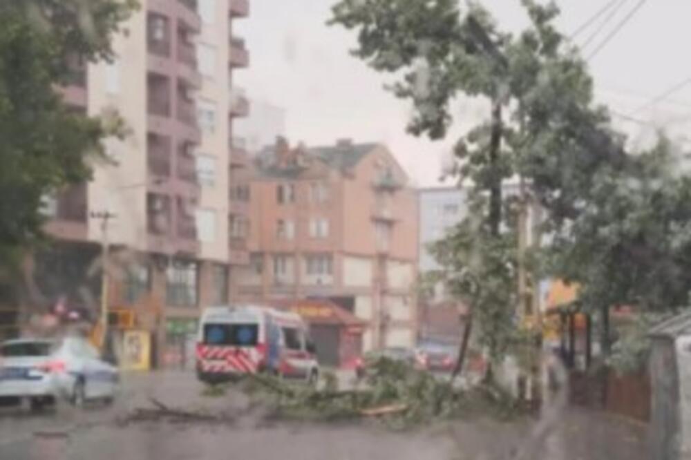 Jako nevreme napravilo haos u Kragujevcu: Vetar srušio drveće, saobraćaj usporen! (FOTO)
