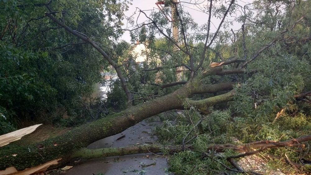 Čaček pod udarom močne nevihte, podrto drevje oviralo promet