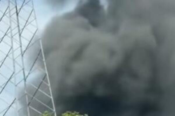 IZBIO POŽAR U KRUGU POLICIJSKE BRIGADE NA BEŽANIJSKOJ KOSI! Goreli boksevi za pse! (VIDEO)