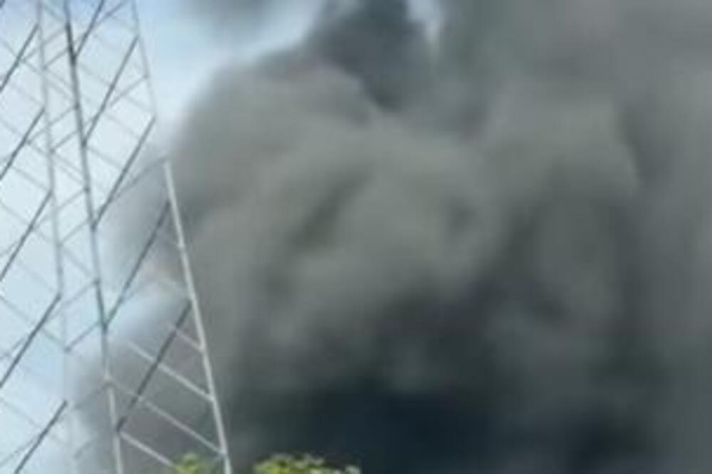 IZBIO POŽAR U KRUGU POLICIJSKE BRIGADE NA BEŽANIJSKOJ KOSI! Goreli boksevi za pse! (VIDEO)