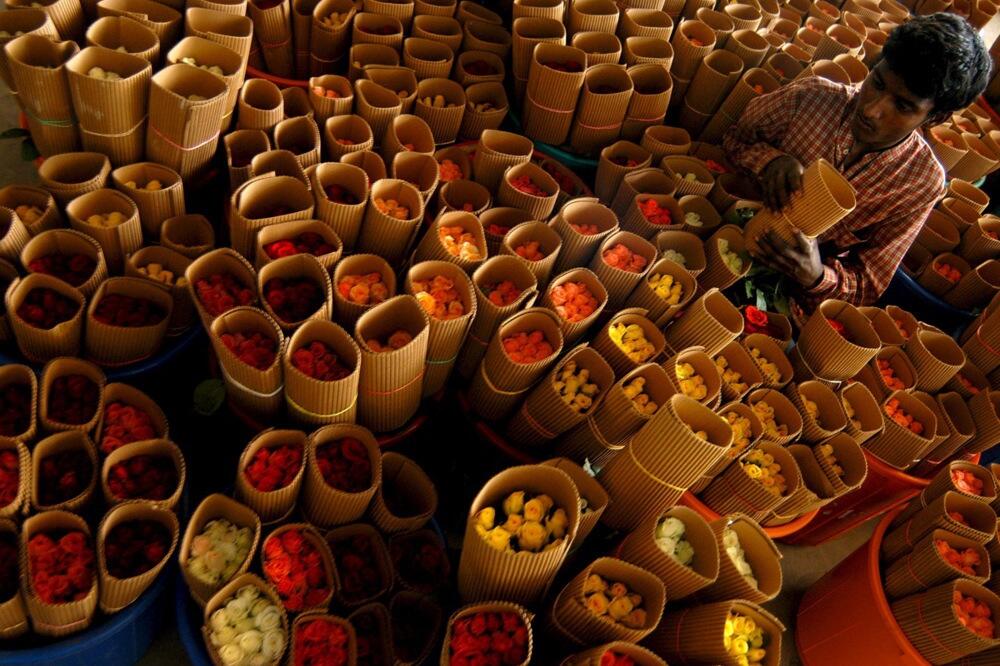 Ulaganja u ovu biljku su velika, ali i zarada je ogromna: Sa njom biznis samo cveta