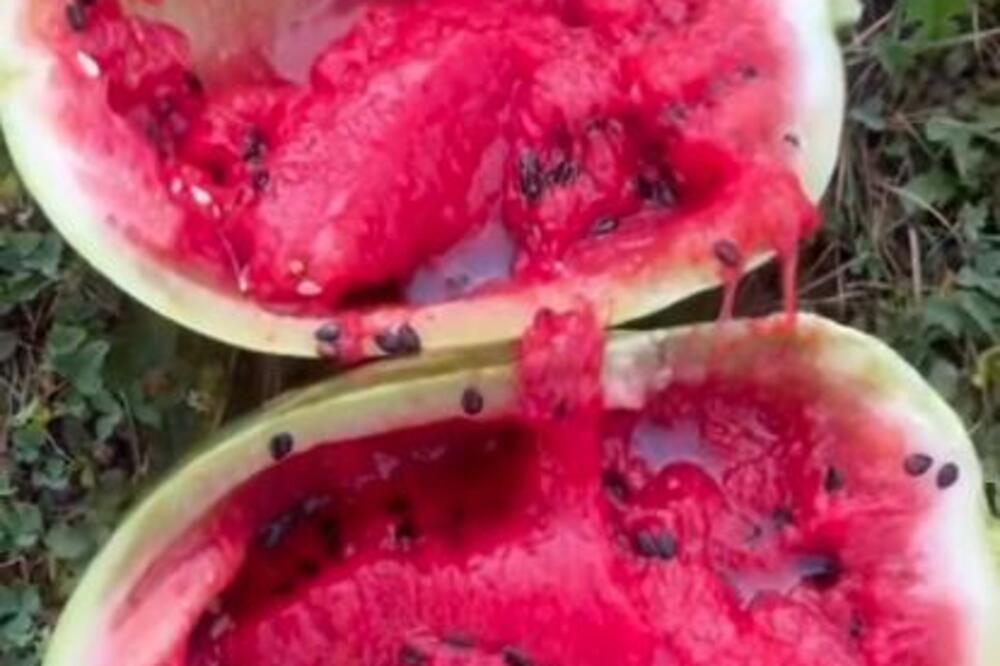 "PREKUVALA SE": Kupila na oko savršenu lubenicu, usledio šok kad je ISEKLA! Snimak zgrozio internet