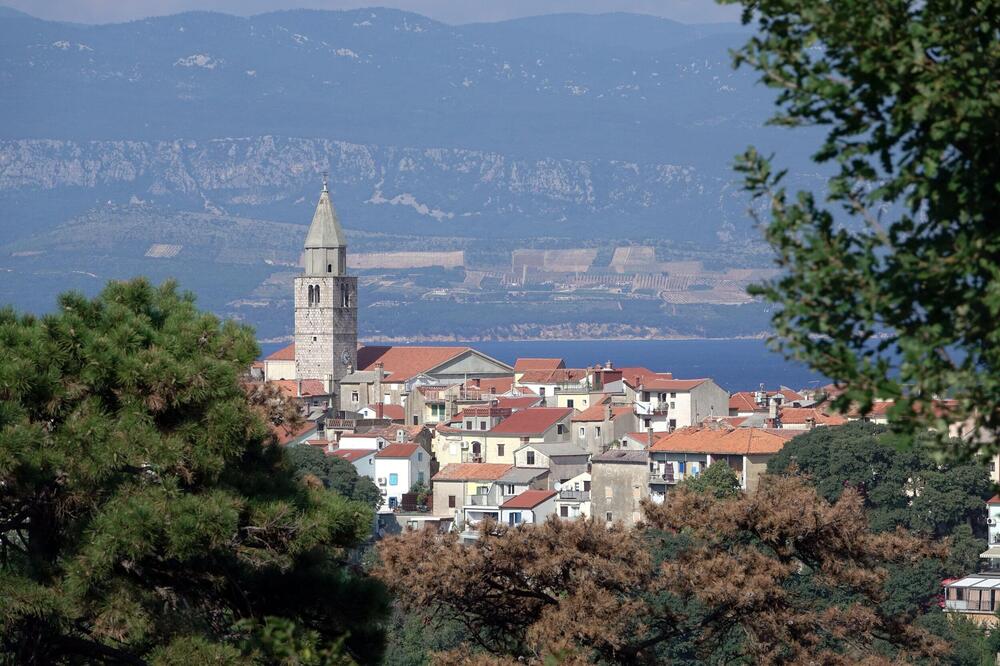 Hrvat prodaje imanje na samo 150 metara od mora! Ima sopstvenu plažu i masline, a košta KAO GARSONJERA U BEOGRADU!