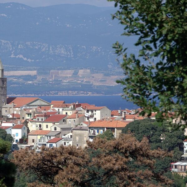 Hrvat prodaje imanje na samo 150 metara od mora! Ima sopstvenu plažu i masline, a košta KAO GARSONJERA U BEOGRADU!
