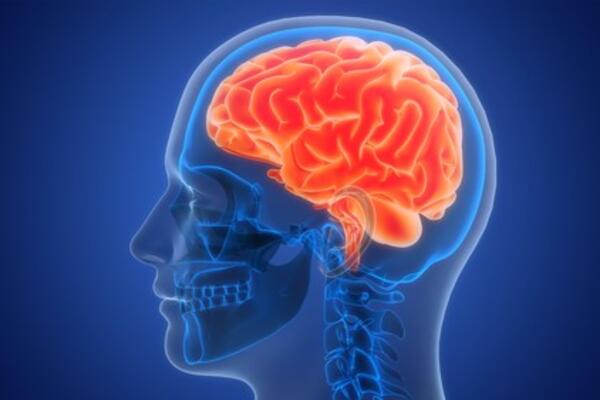 Ovo su posledice MOŽDANOG UDARA! Evo šta se desi MUŠKARCIMA, a šta ŽENAMA, jezivo