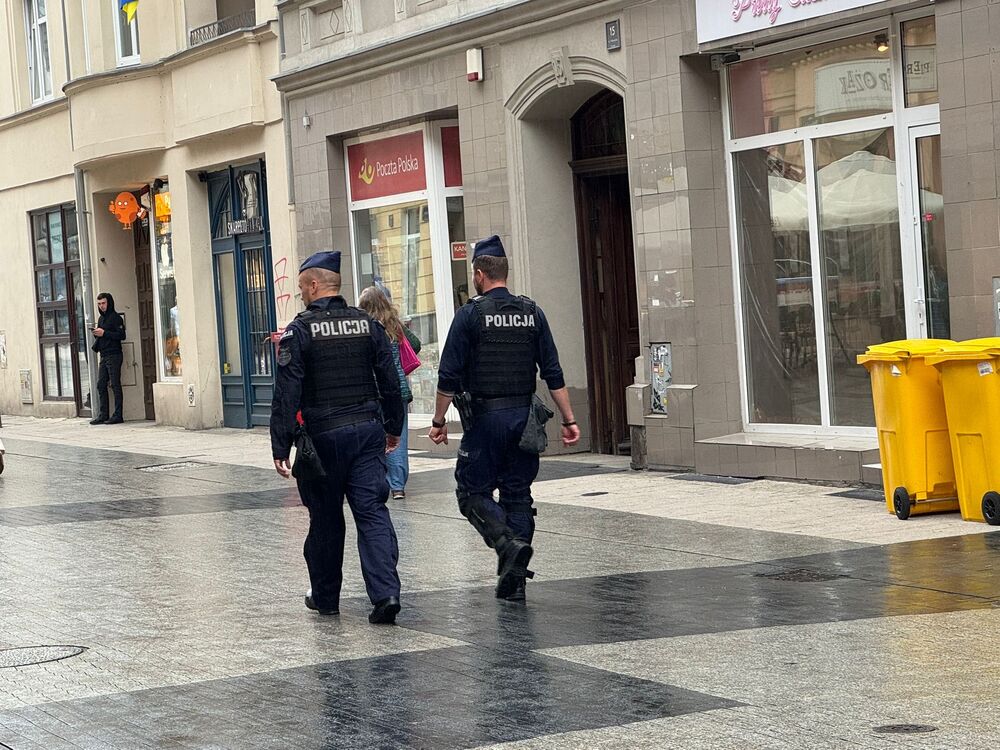 Policija, Poljska policija