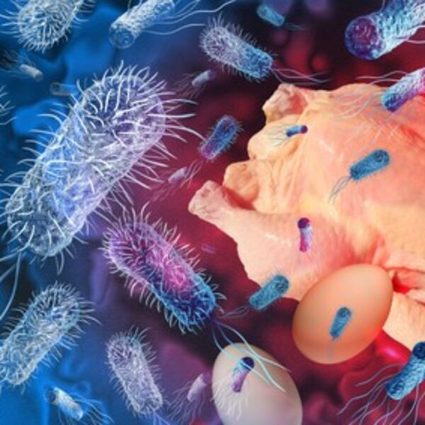 Evo šta vam se dešava u telu ako pojedete meso zaraženo salmonelom: Prvi simptomi dolaze odmah - čitajte pažljivo