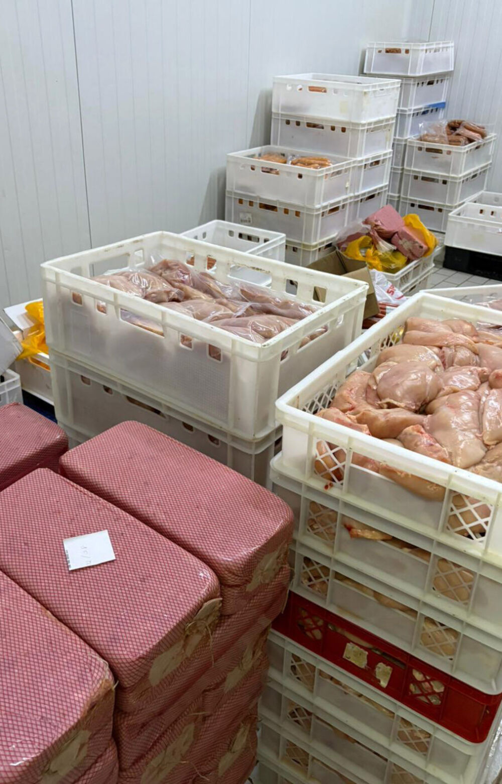 Pileće meso, Salmonela