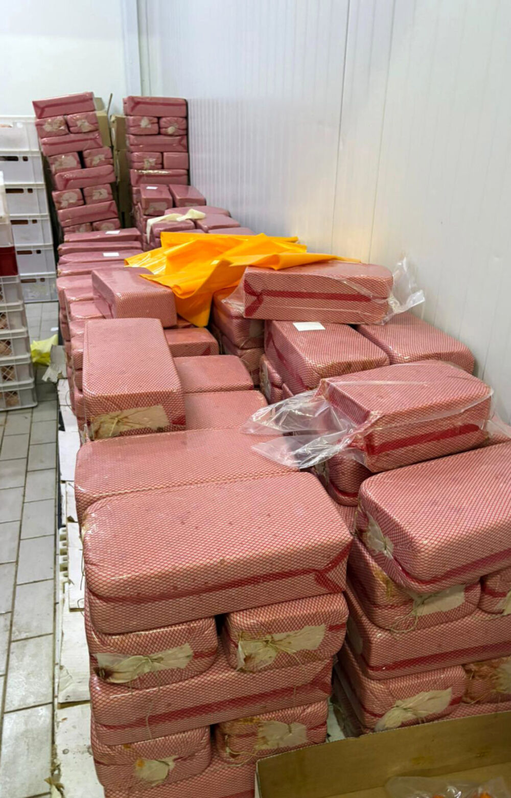 Pileće meso, Salmonela